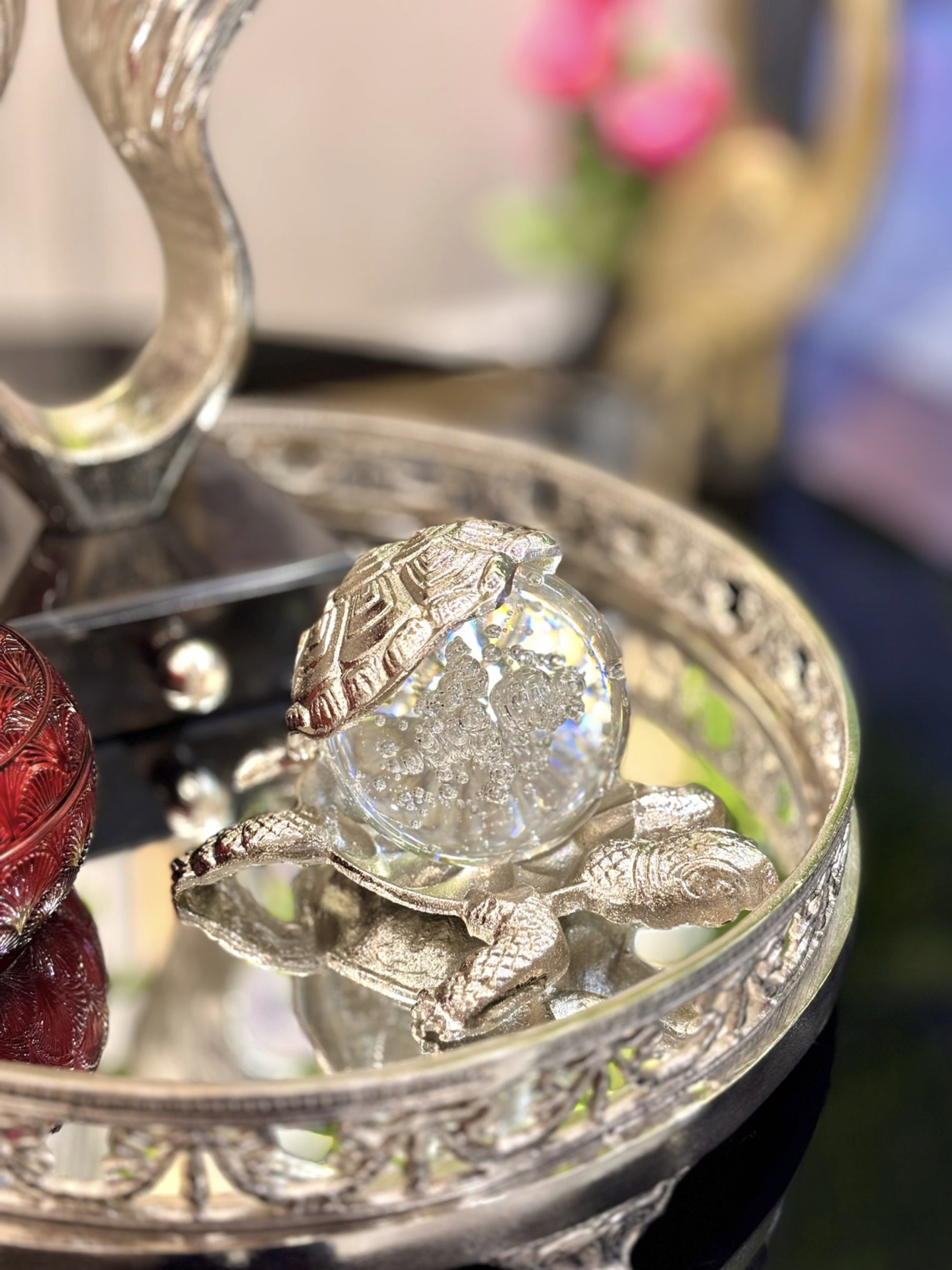 Küreli Gümüş Kaplumbağa