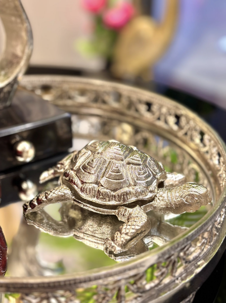 Küreli Gümüş Kaplumbağa