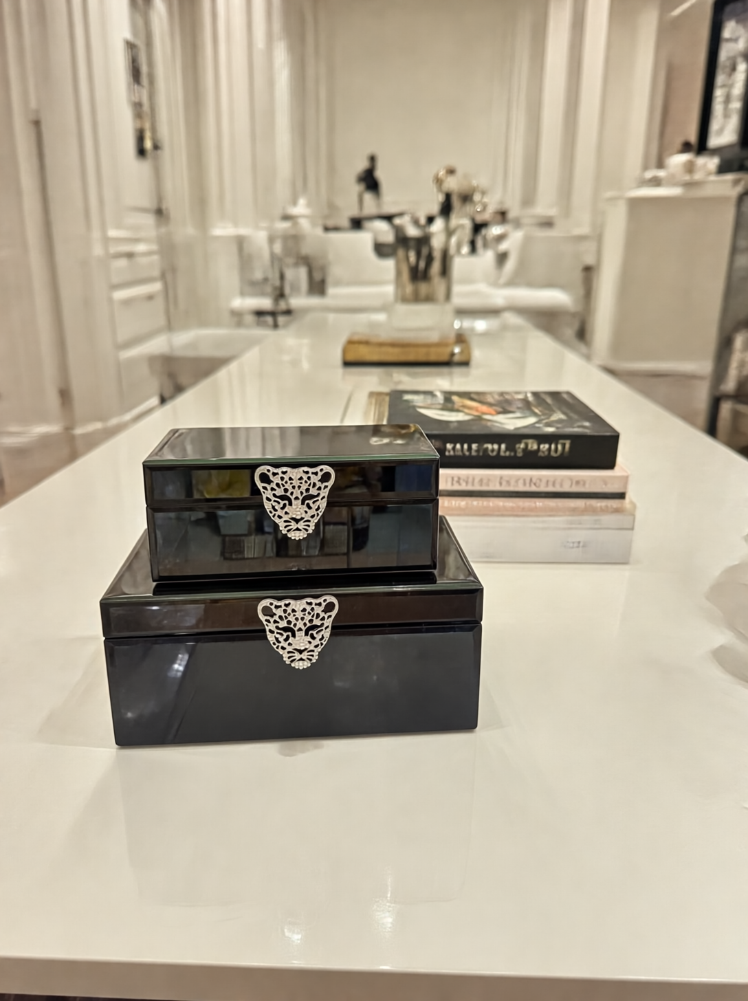 2’li Siyah Gümüş Cat Cam Kutu