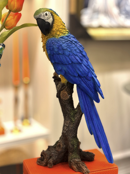 Renkli Papağan Obje