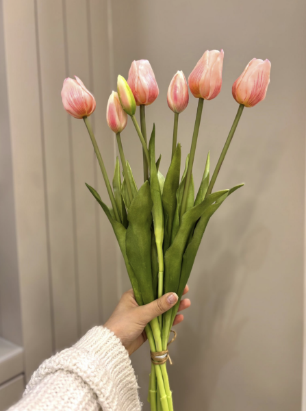 Islak Görünümlü Pembe Lale Demeti