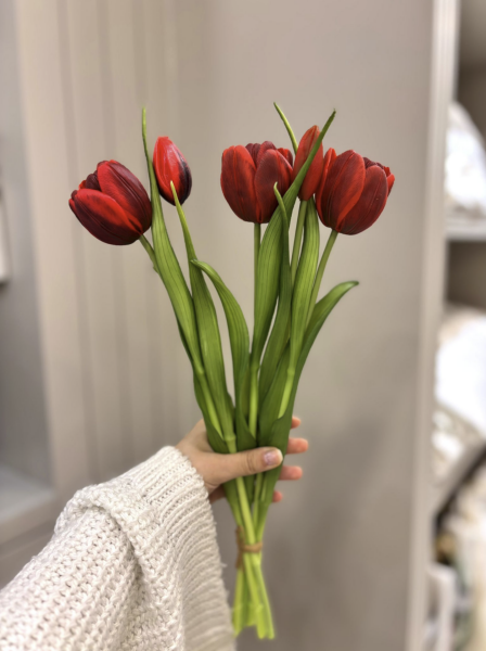 Islak Görünümlü Kırmızı Lale Demeti