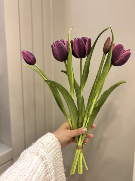 Islak Görünümlü Mor Lale Demeti