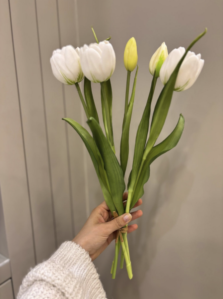 Islak Görünümlü Beyaz Lale Demeti