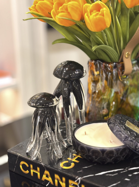 Cam 2’li Ahtapot Obje