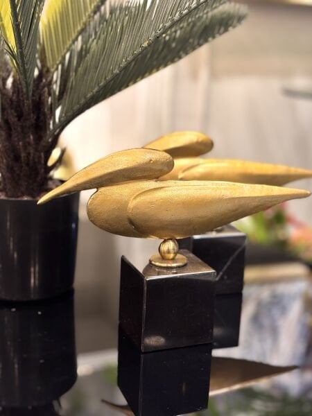 Gold Pelikanlar