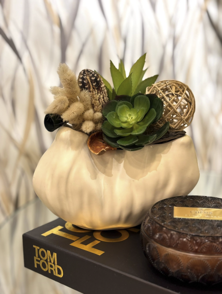 Krem Dalgalı Sukulent