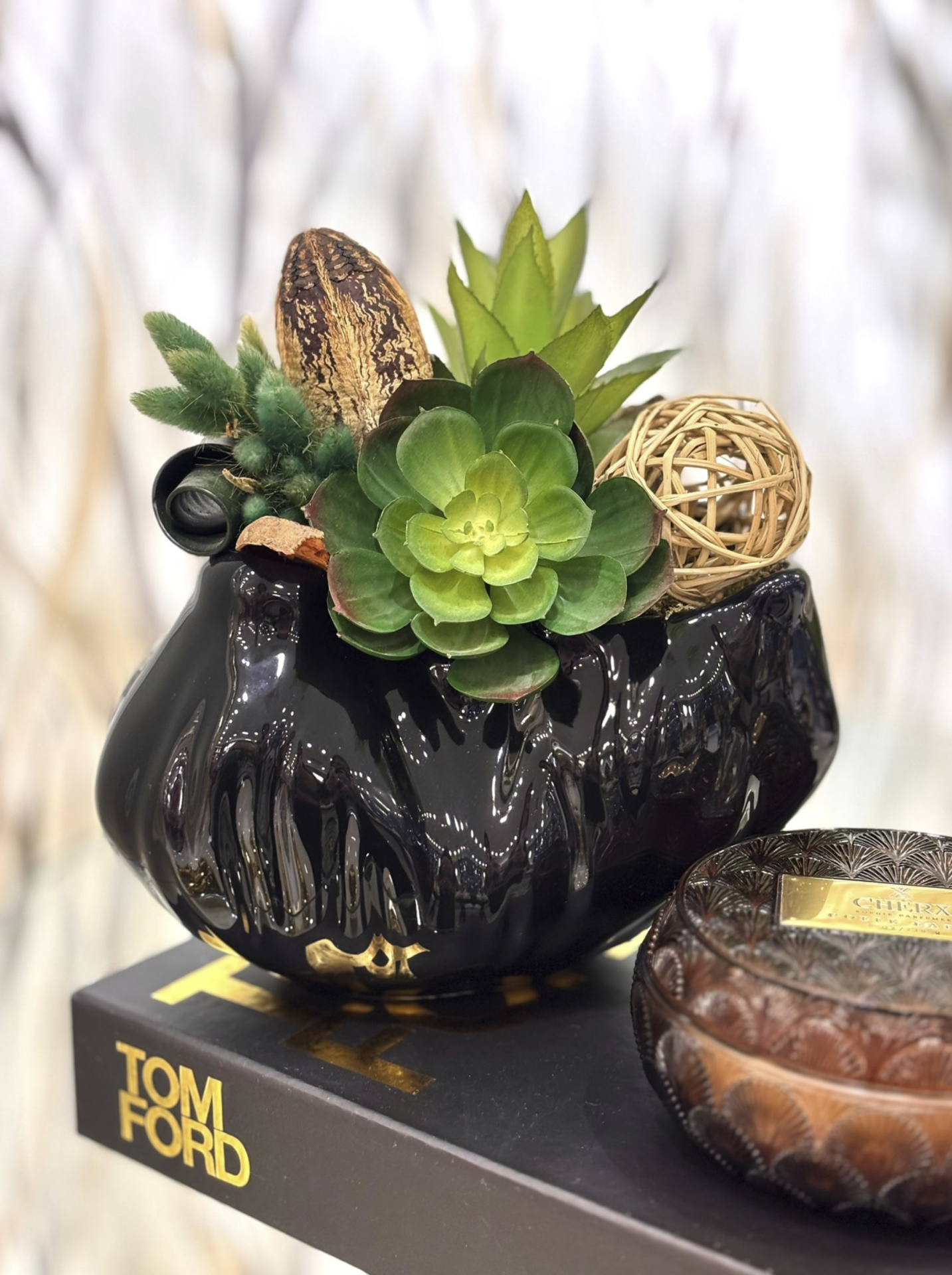 Siyah Dalgalı Sukulent