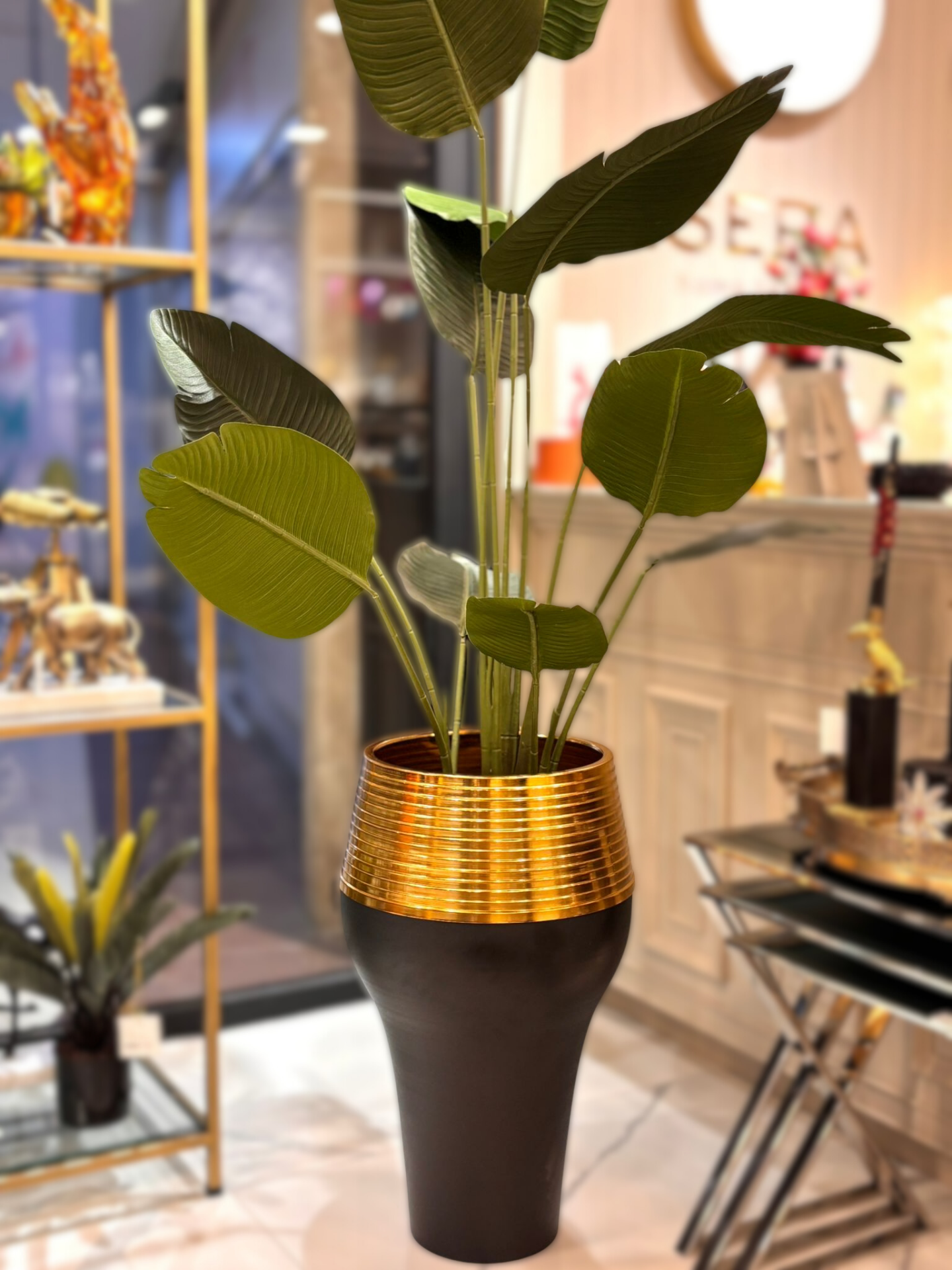 Starliçe Ağac ve Saksı