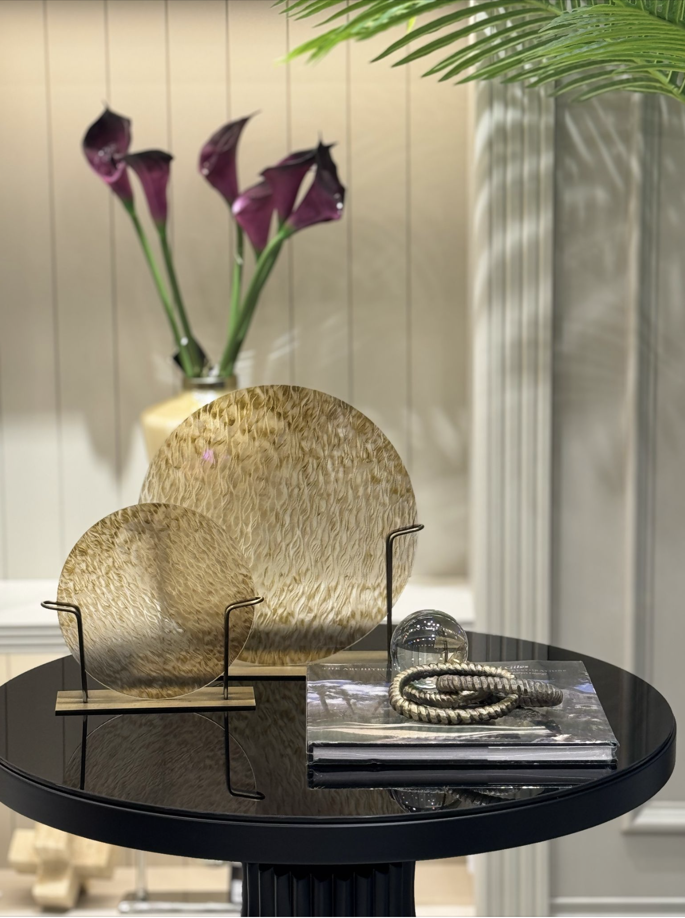 2'Li Cam Disk Çap 30x20