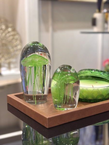 2’li Cam Yeşil Deniz Anası